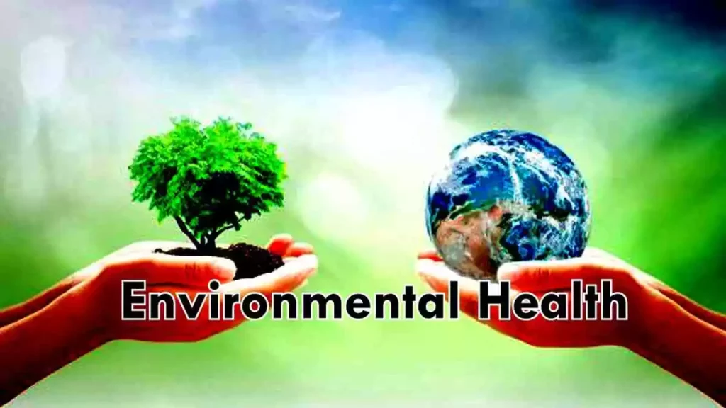 Job Vacancy For Environmental Health and Safety Officer